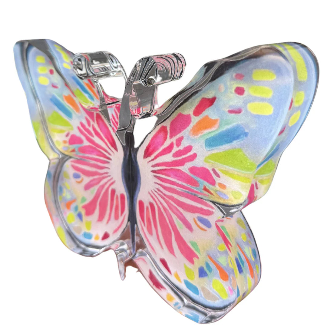 “Lover of Color Butterfly” Acrylic Shelfie