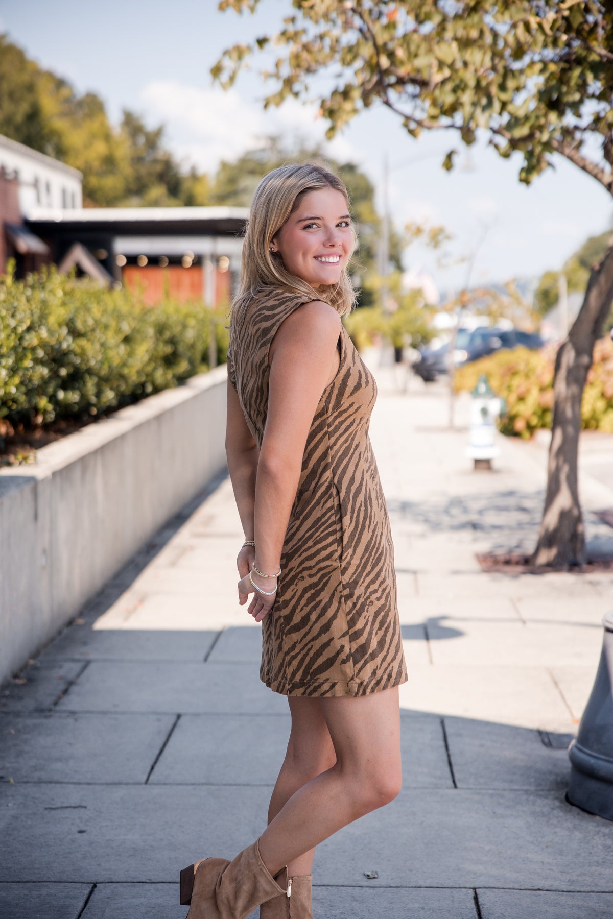 Zebra Print Sleeveless Mini Dress - Brown