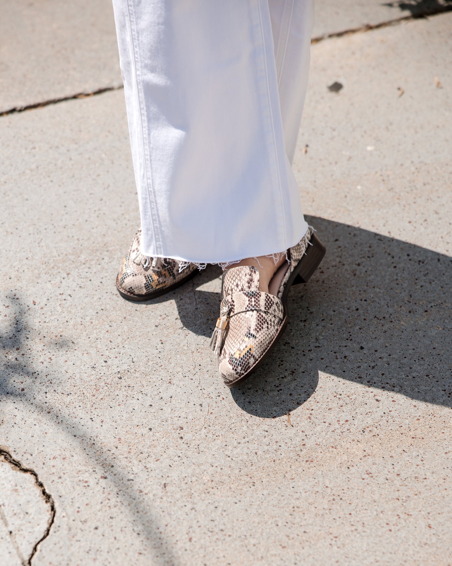 Linear Flat Shoe - Snake