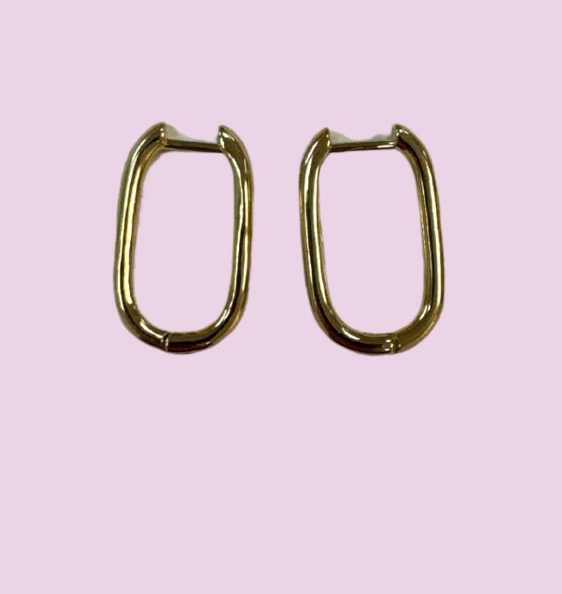Lisa Hoops