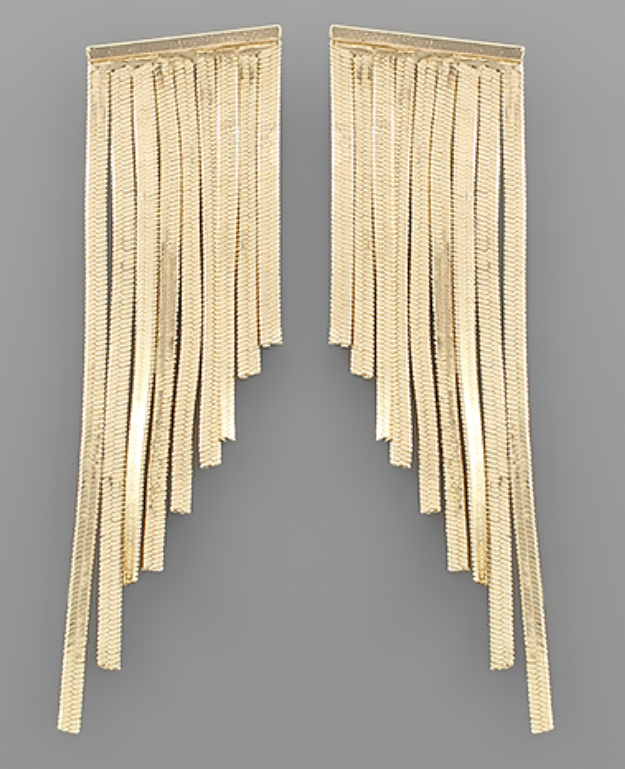 Metal Fringe Earrings