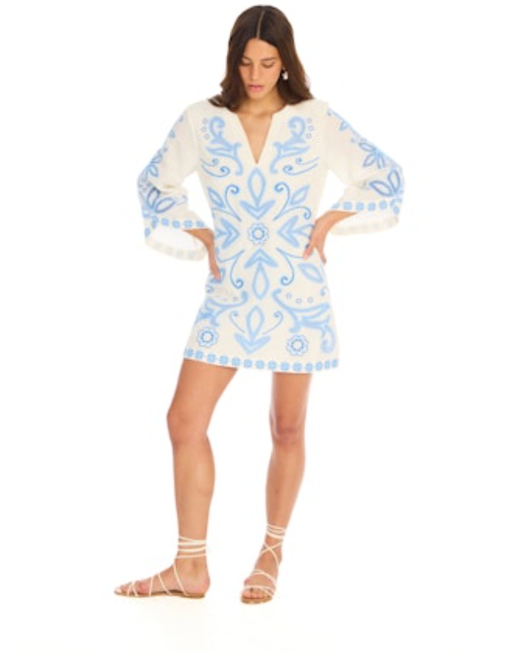 Embroidered Alina Dress - Blue/White