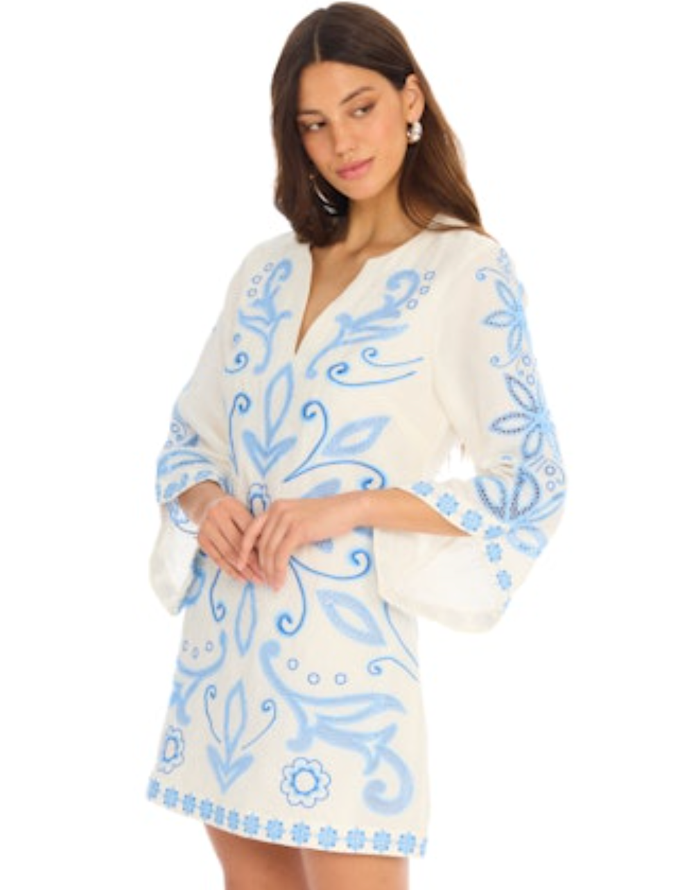 Embroidered Alina Dress - Blue/White