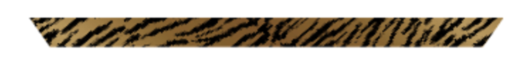 Twilly Scarf - Tiger