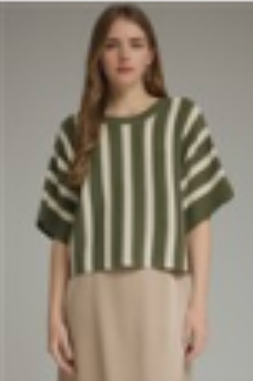 Striped Dolman Short Sleeve Top - Olive