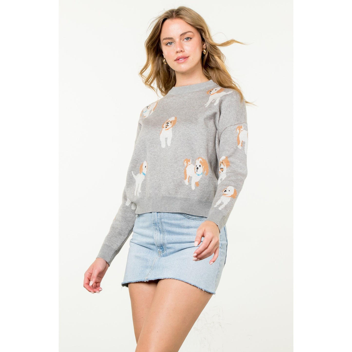 Dog Knit Sweater - Heather Grey