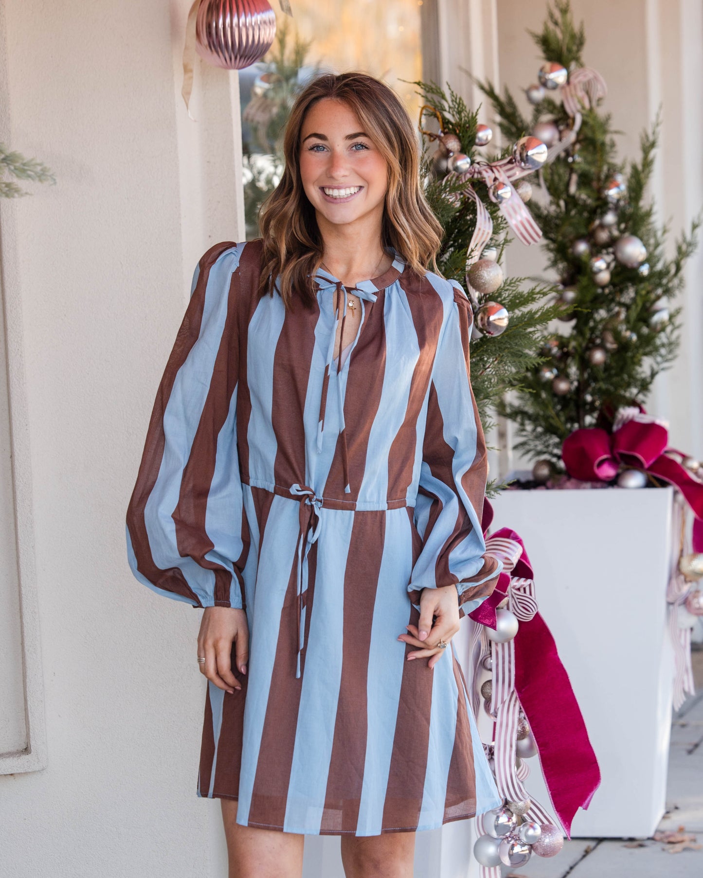 Evabelle Stripe Viany Shift Mini Dress - Brown/Blue