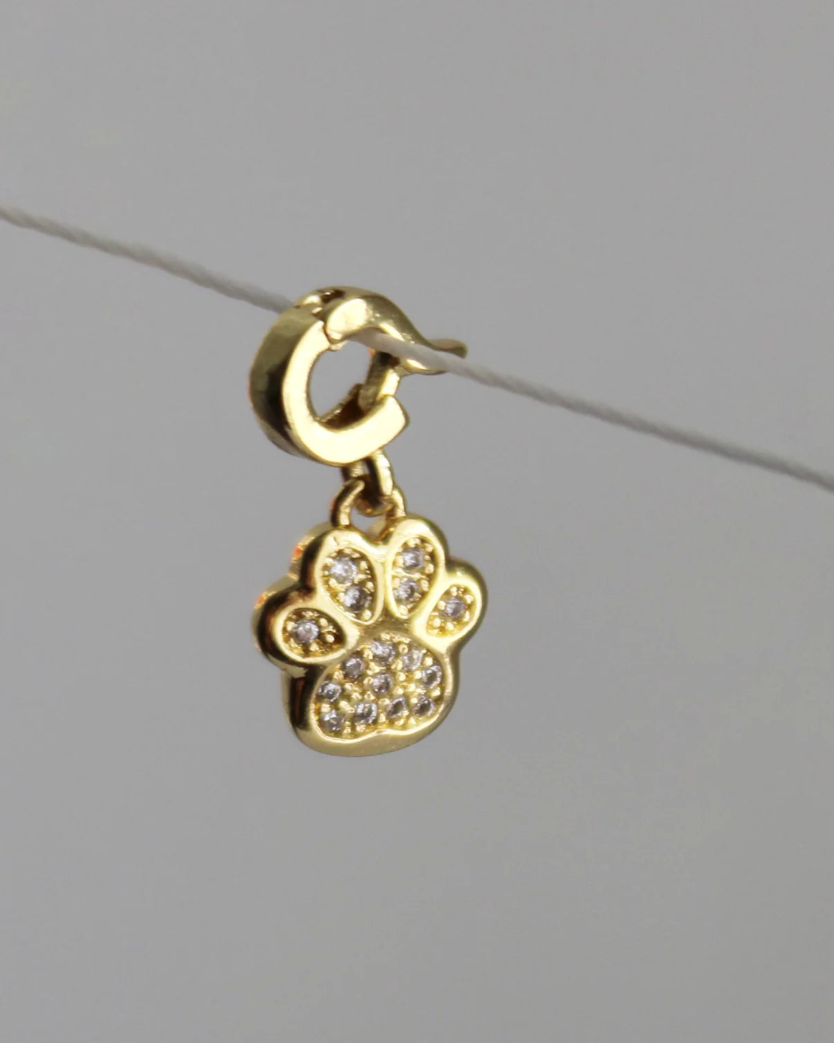 Paw Charm