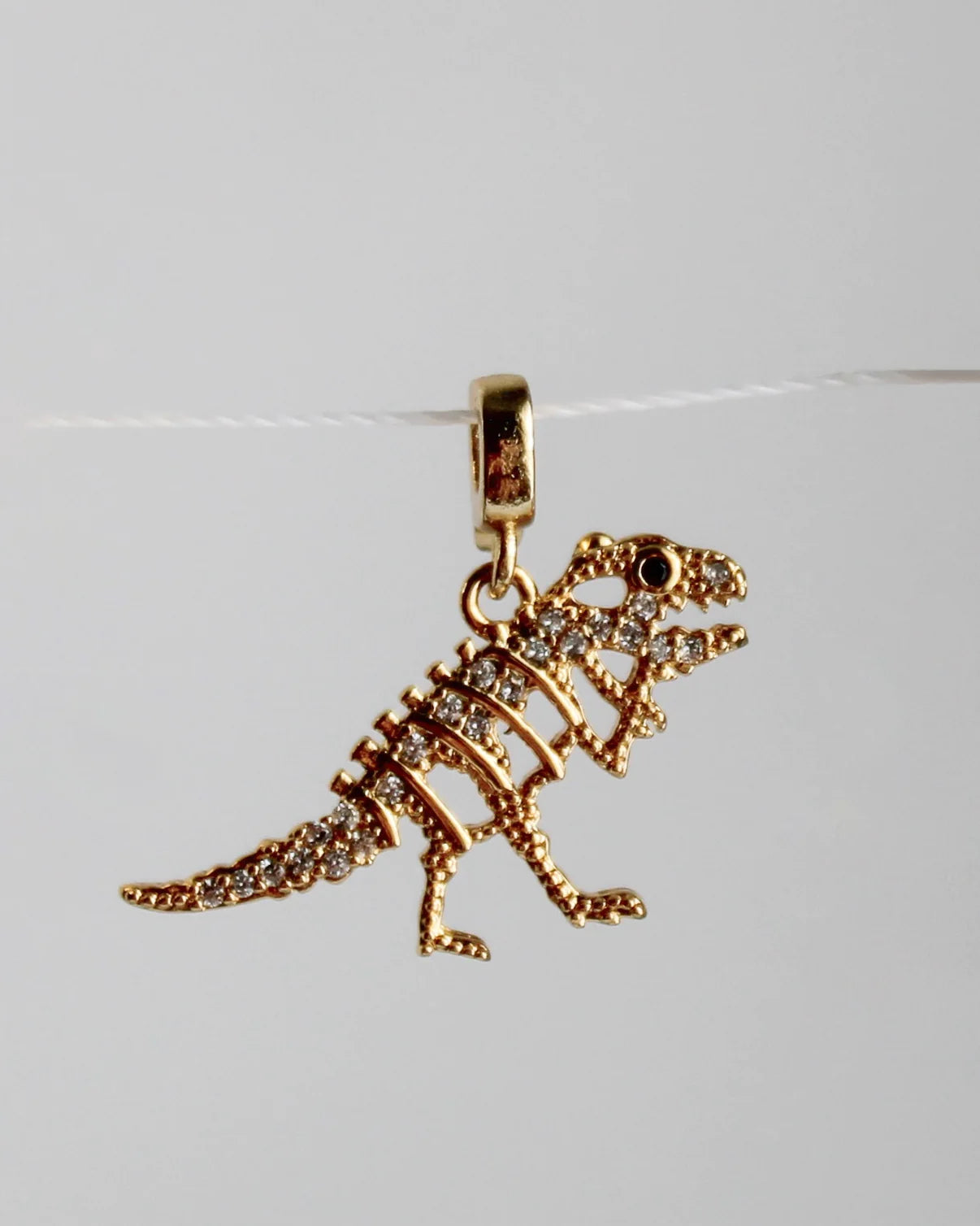 Dino Charm