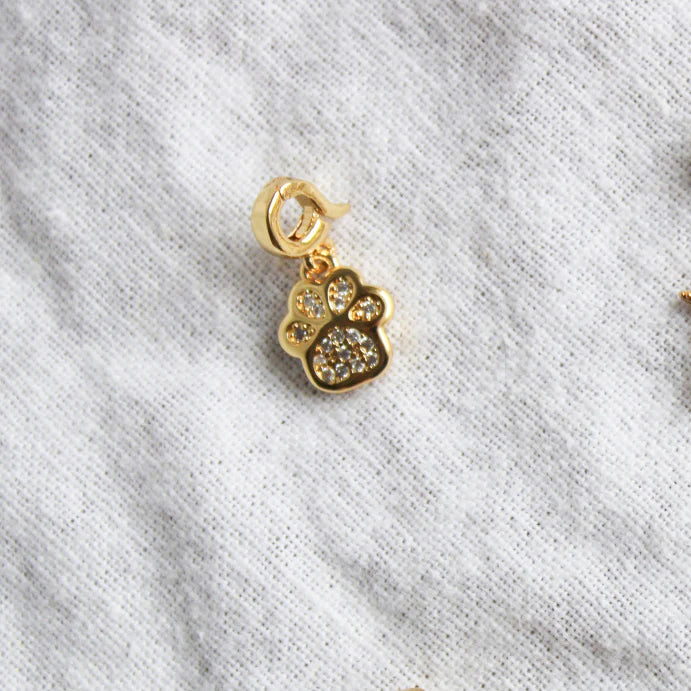 Paw Charm