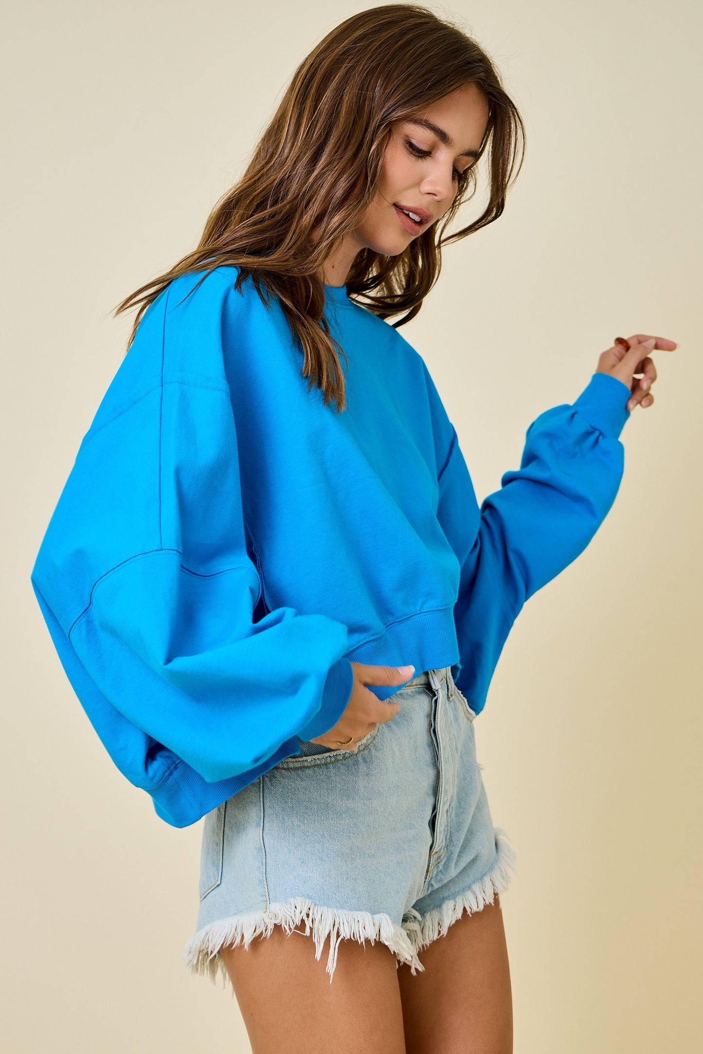 Cropped Crew Neck Sweatshirt - Blue