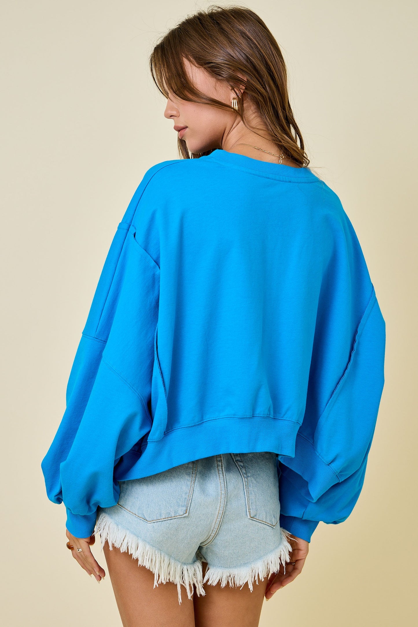 Cropped Crew Neck Sweatshirt - Blue