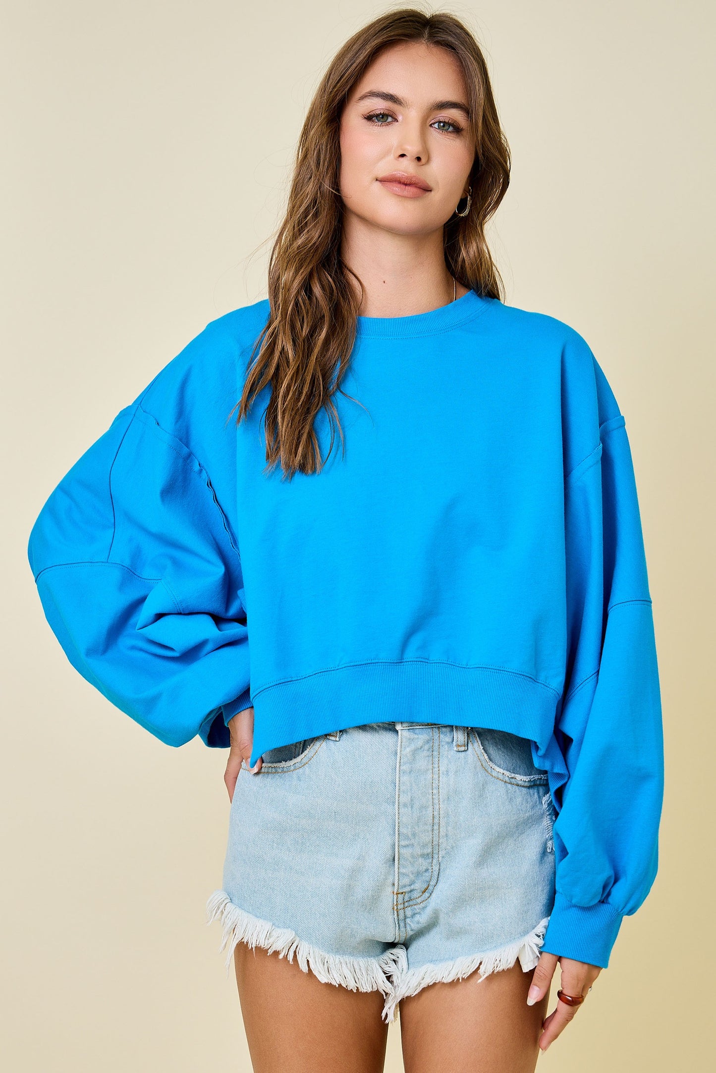 Cropped Crew Neck Sweatshirt - Blue