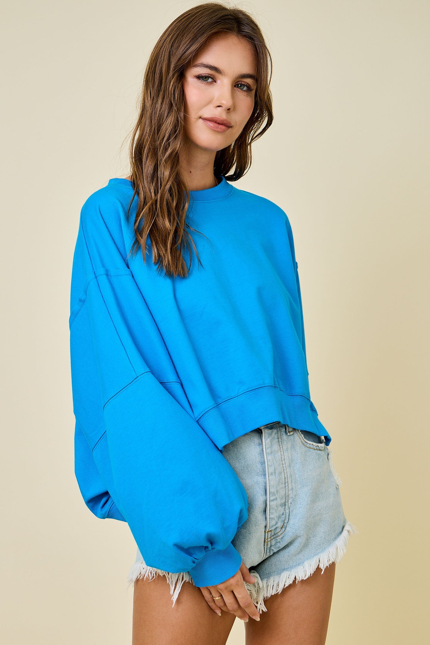Cropped Crew Neck Sweatshirt - Blue