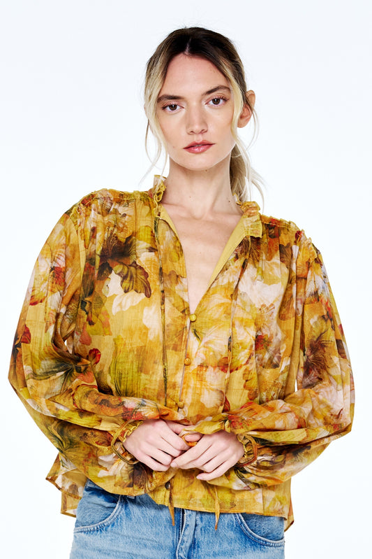 Golden Olive Multi