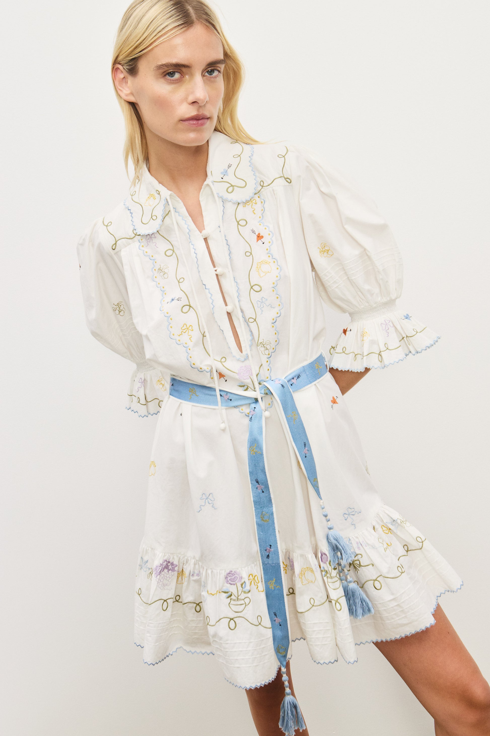 GIULIA EMBROIDERED MINI DRESS