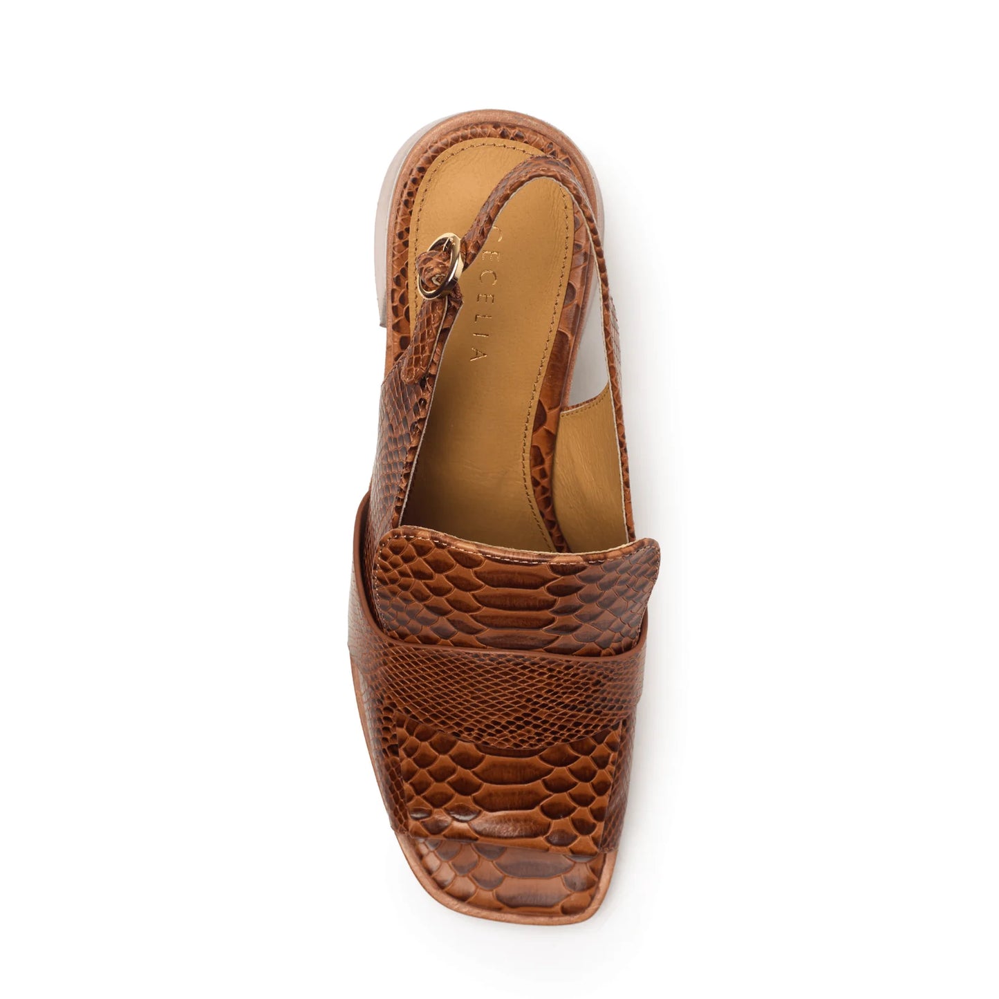 Splash Heeled Sandal - Brown Snake