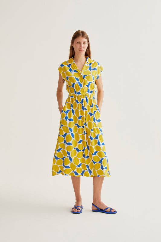 Conversational Dress - Lemon Print