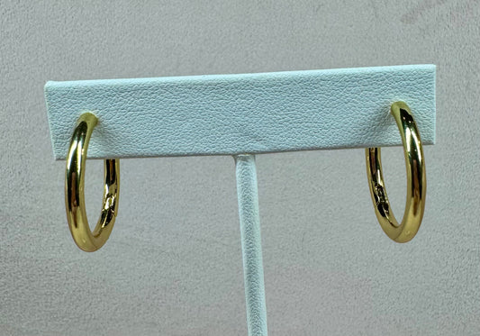 Everyday Goldie Hoop Earrings