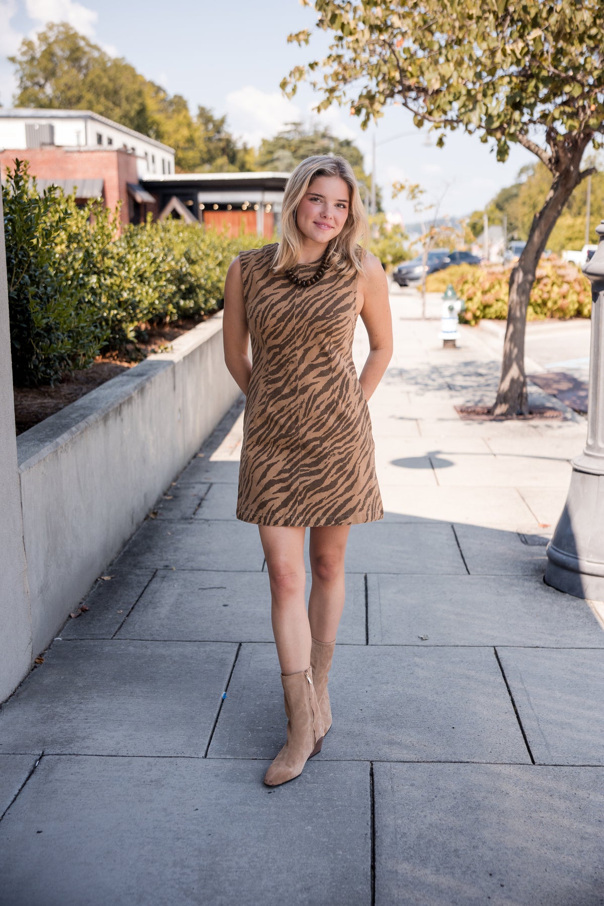 Zebra Print Sleeveless Mini Dress - Brown