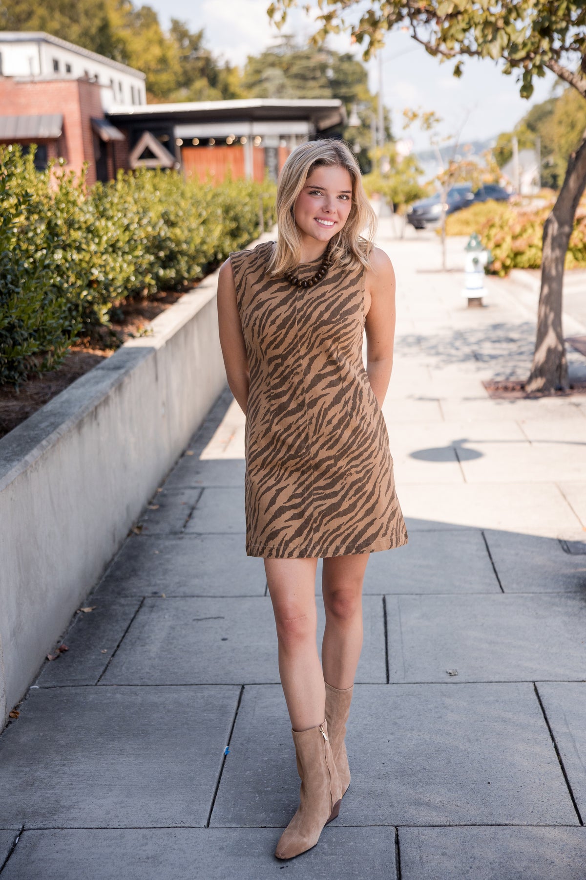 Zebra Print Sleeveless Mini Dress - Brown
