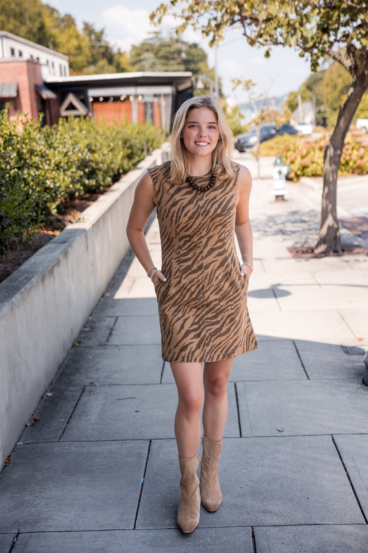 Zebra Print Sleeveless Mini Dress - Brown