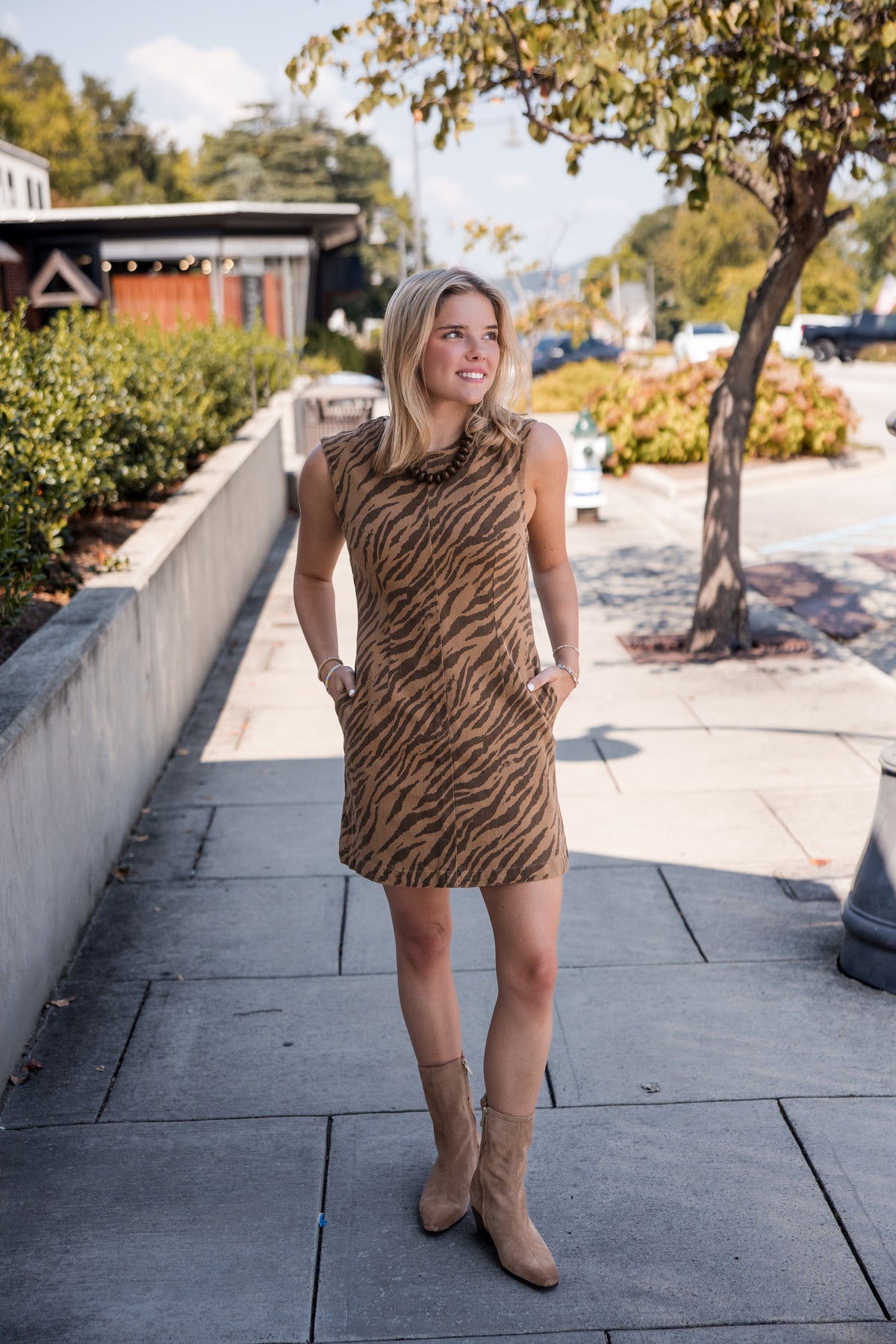 Zebra Print Sleeveless Mini Dress - Brown