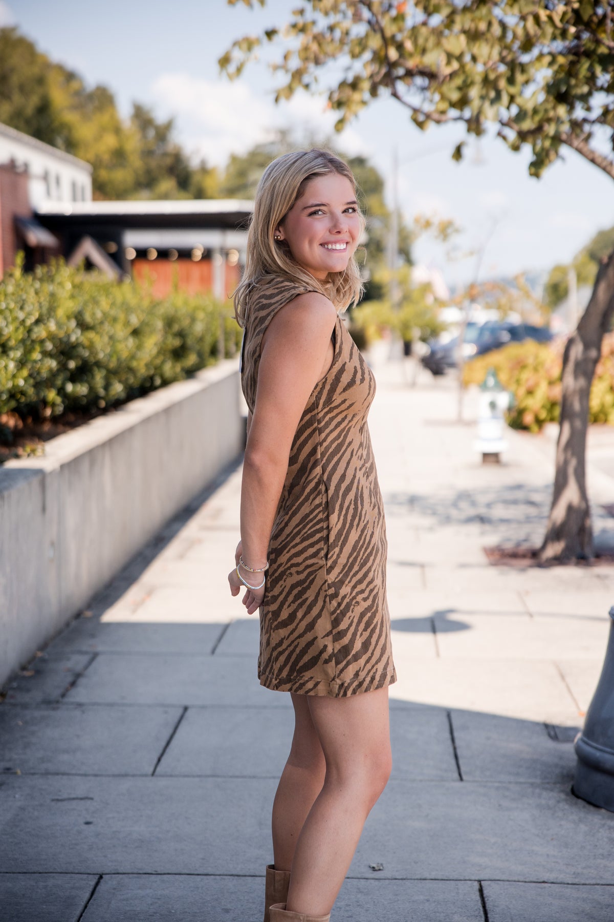 Zebra Print Sleeveless Mini Dress - Brown
