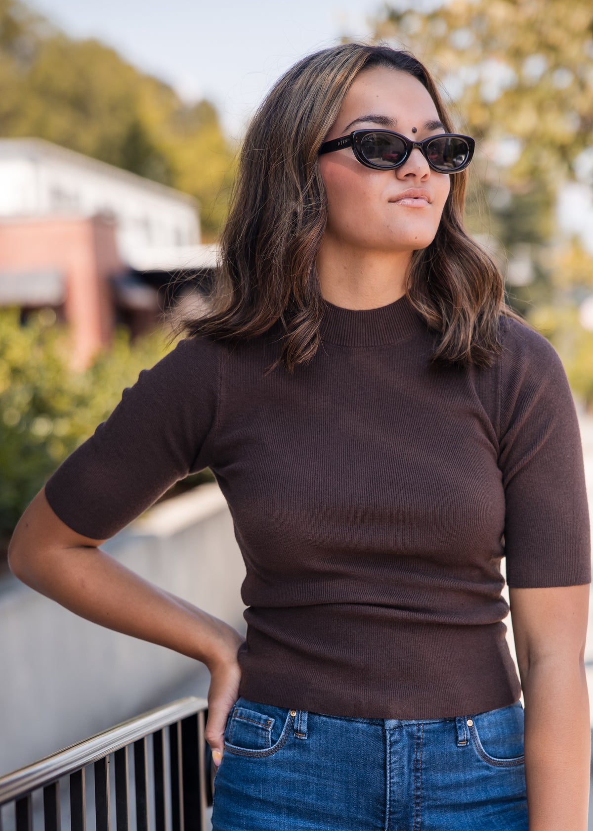 Turtleneck Short Sleeve Sweater - Chocolate