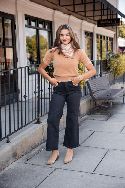 Cloud Nine Fluffy Short Sleeve Sweater - Camel