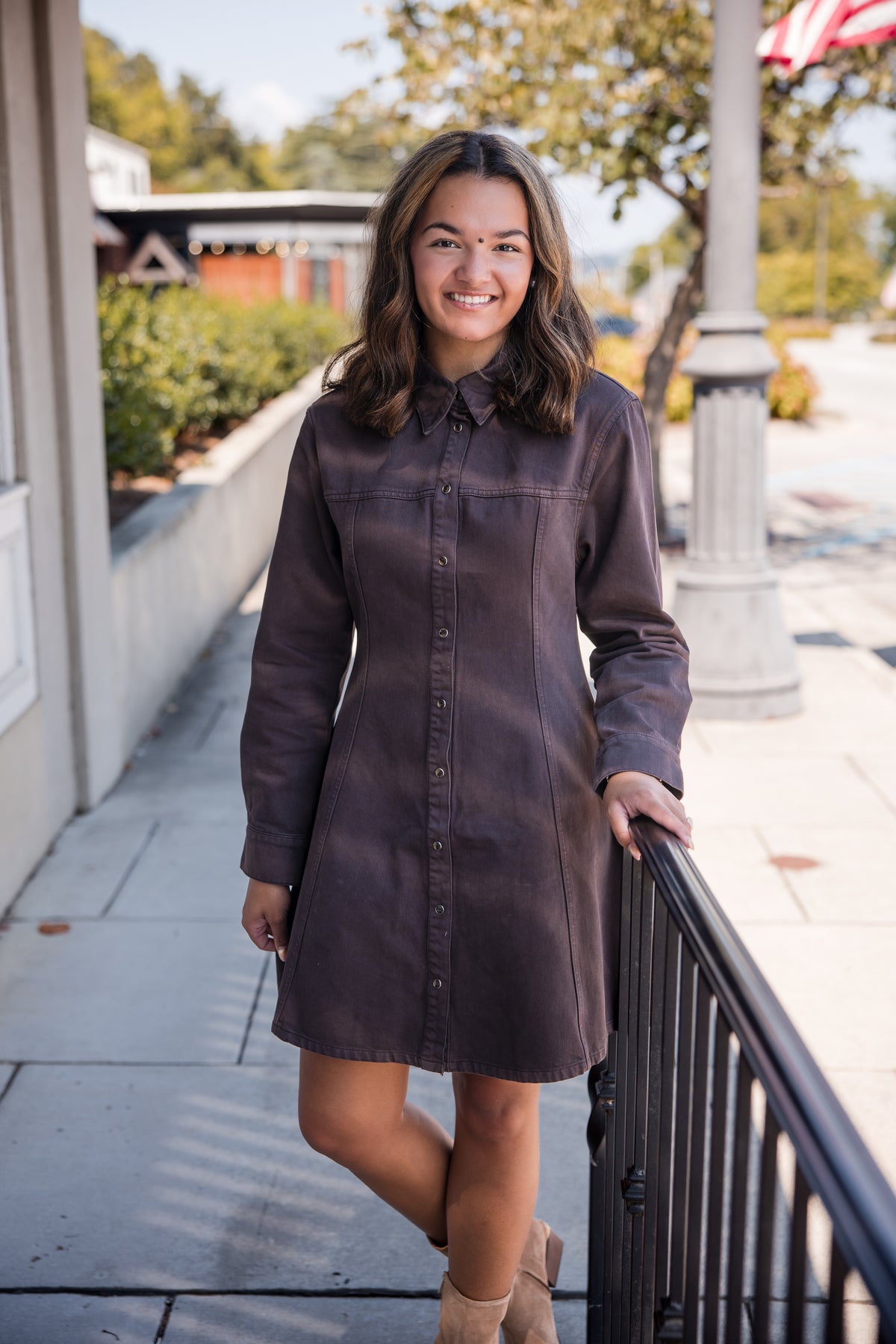 Zeana Mini Denim Dress - Walnut Timber