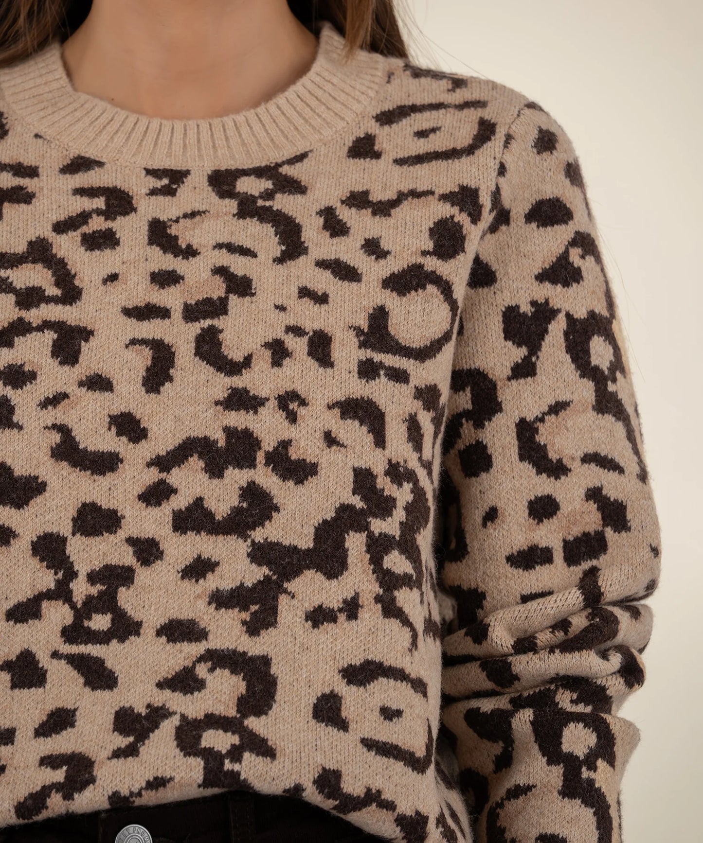 Gisela Animal Print Pullover Sweater - Beige/Brown