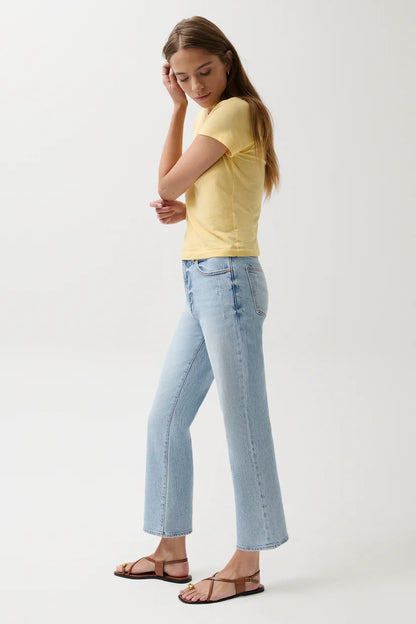 Ally High Rise Vintage Ankle Jean - Misted Eve