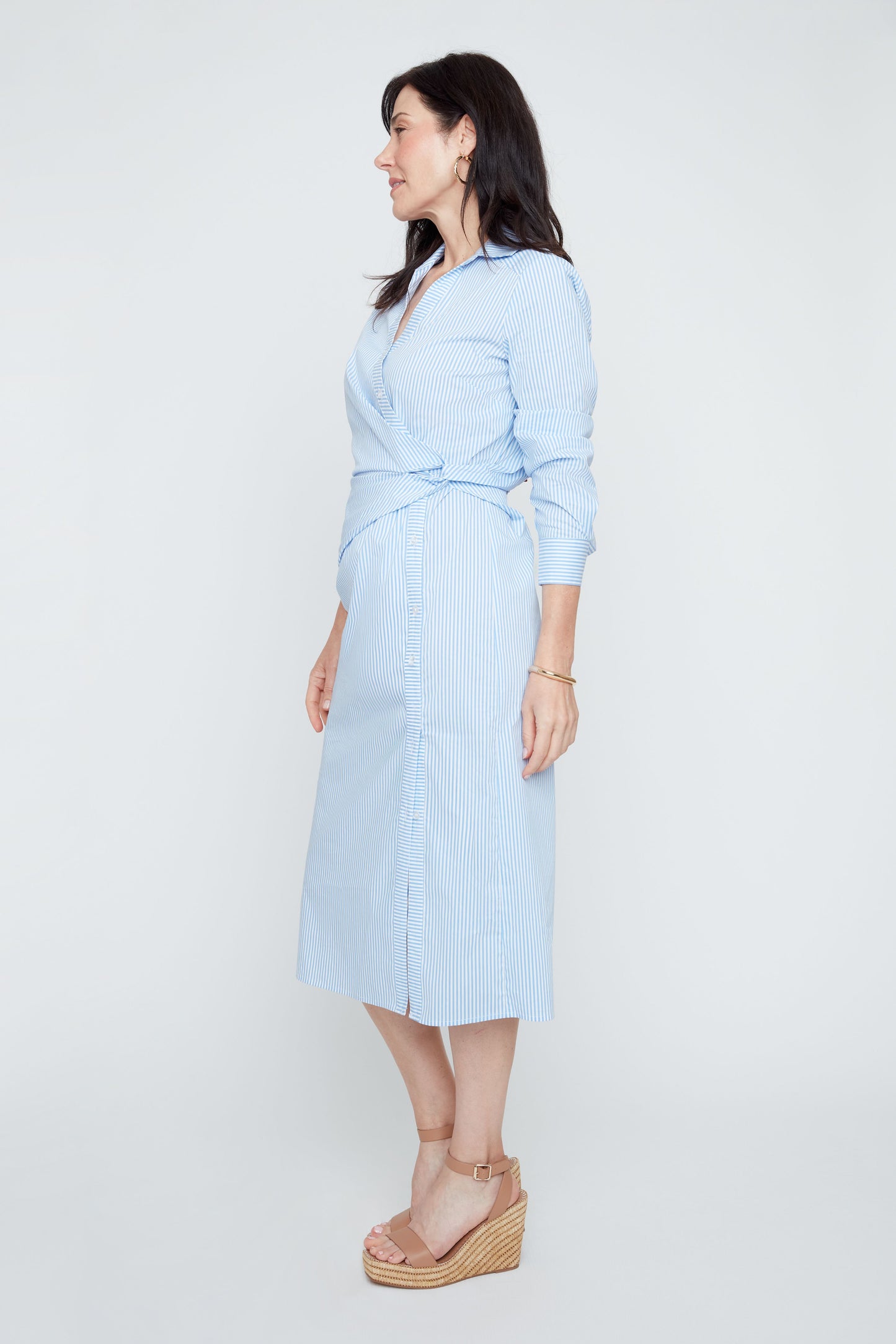 Crisp Classic Dress - Blue Combo