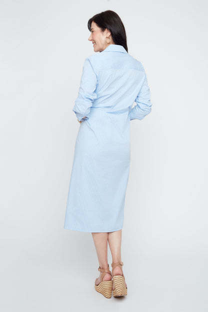 Crisp Classic Dress - Blue Combo