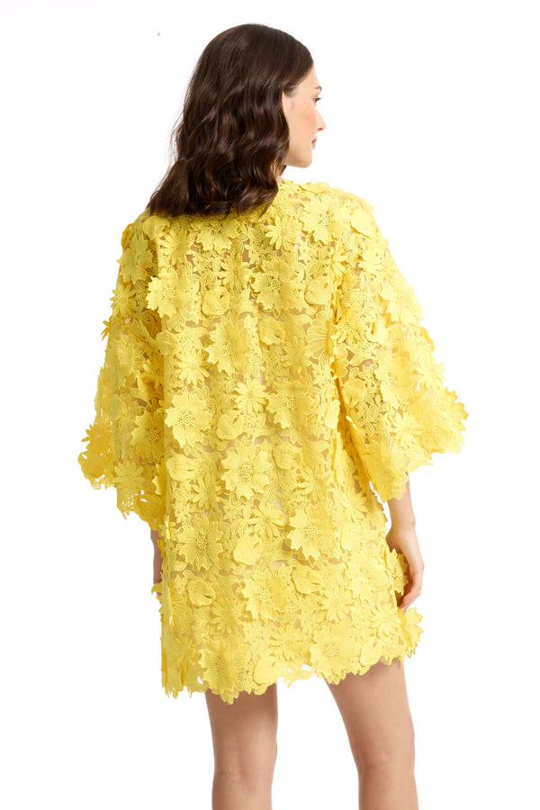3D Floral Lace Long Sleeve Dress