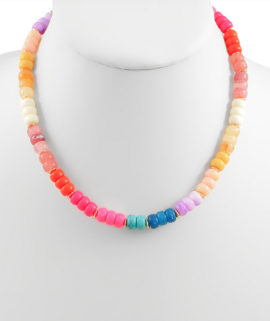 Multi Color Beaded Necklace - Multi