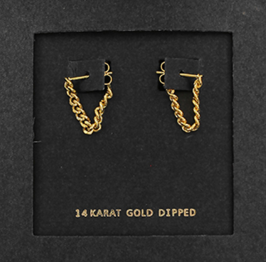 U Chain Drop Earrings