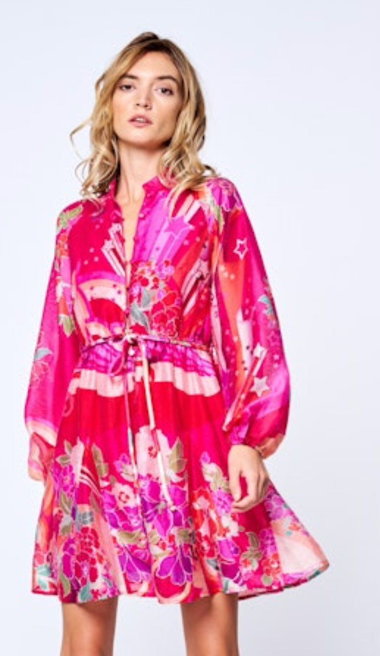 Nylah Printed Mini Dress with Godets - Pink Multi