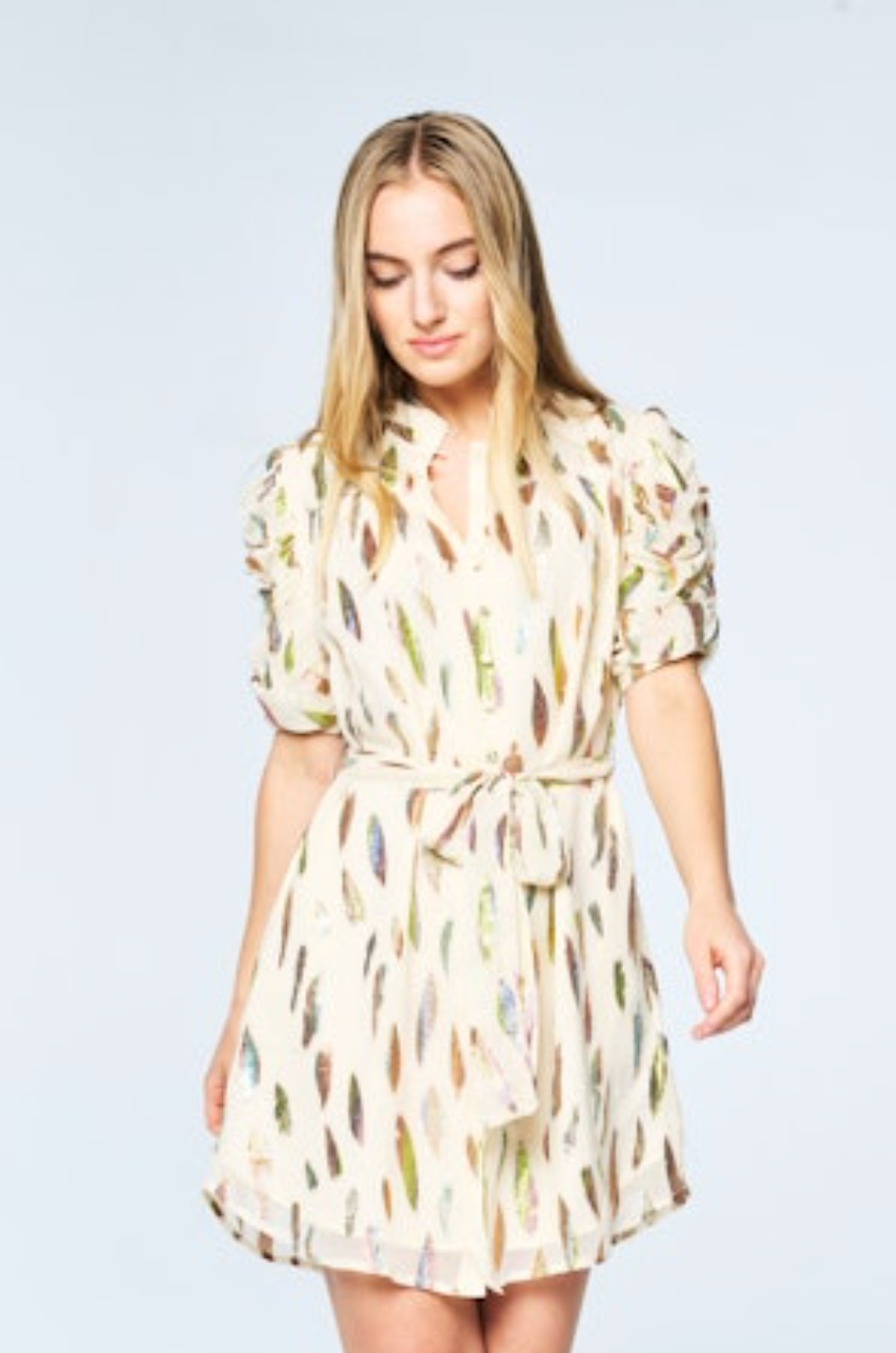 Mehsa Metallic Mini Dress - Cream