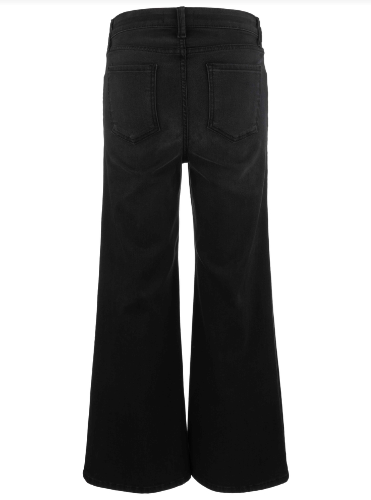 Meg High Rise Wide Leg Jean - Definitely