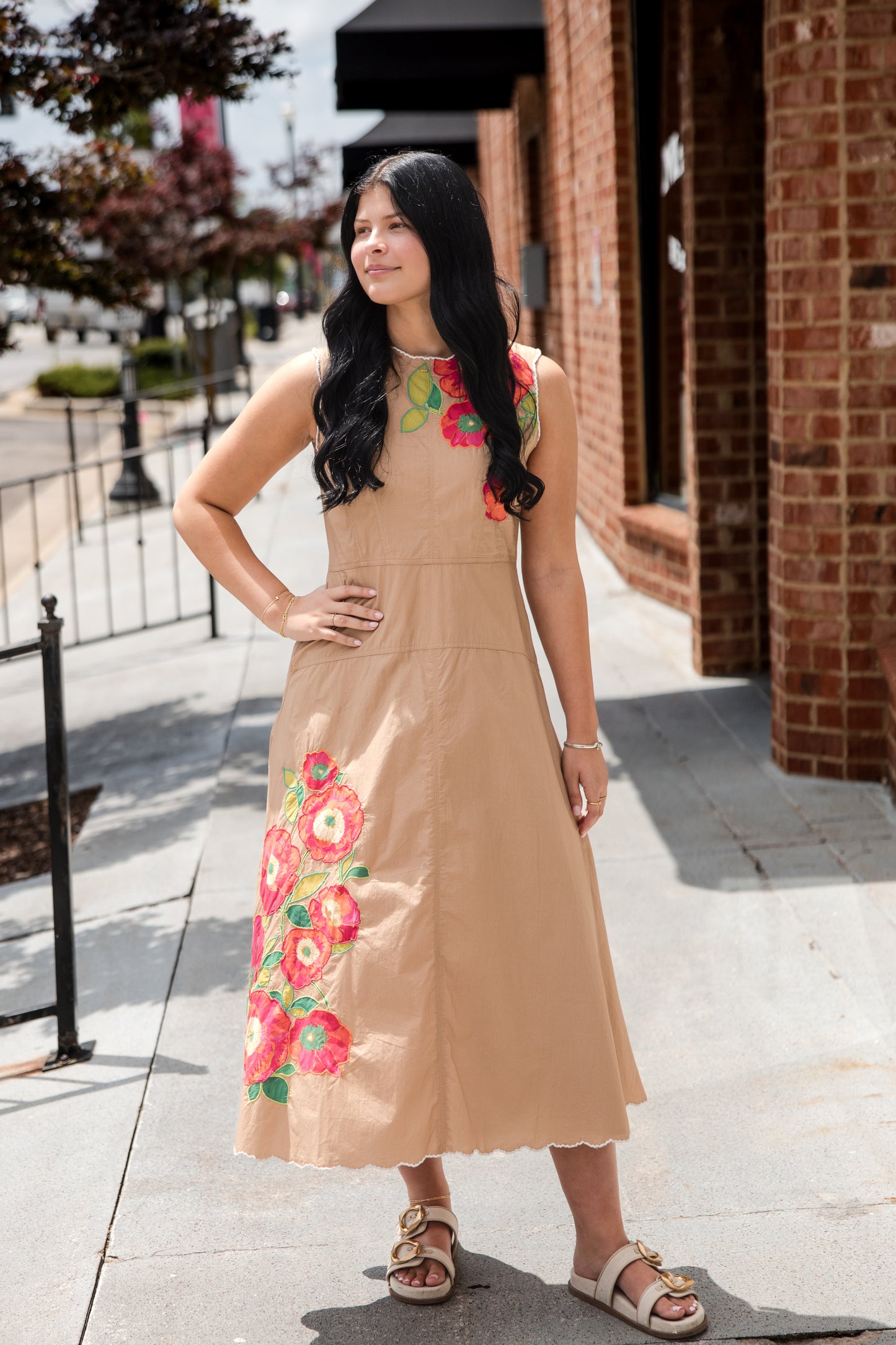 Claire Dress - Poppy Patch Iced Coffee