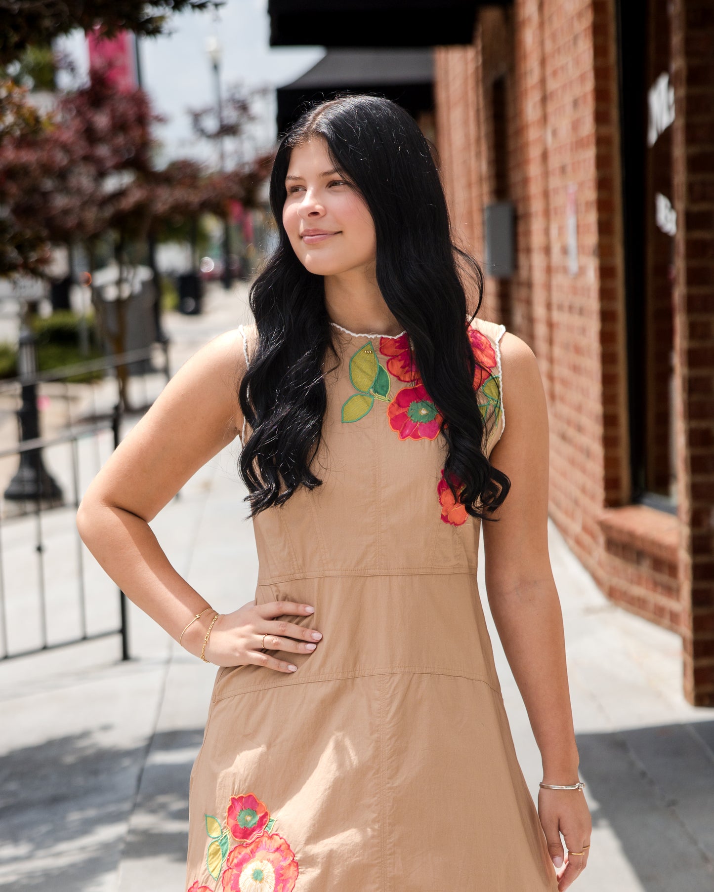 Claire Dress - Poppy Patch Iced Coffee