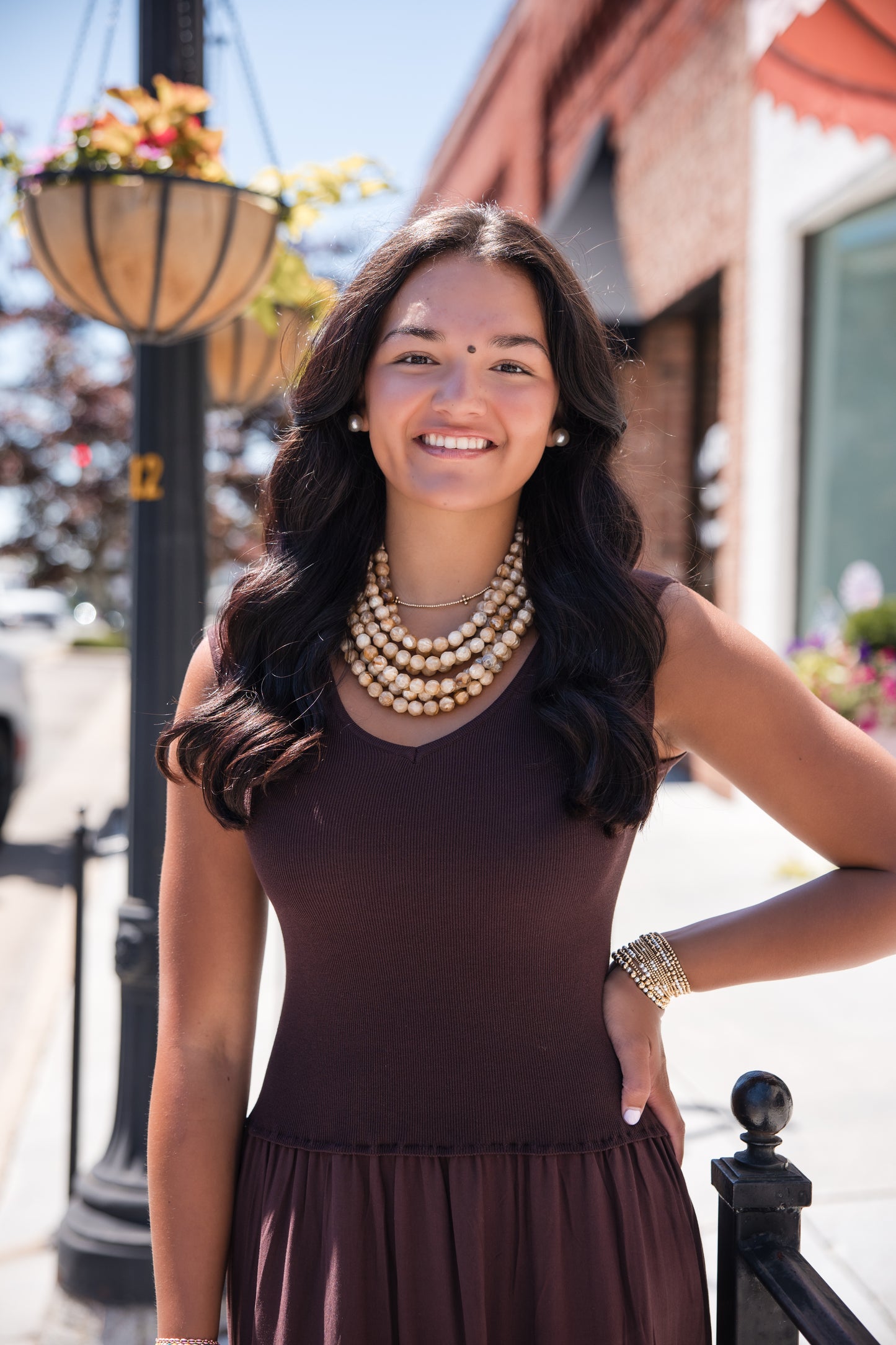 Roshan Dress - Brown