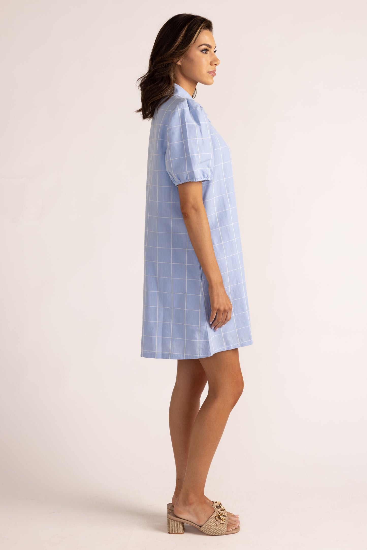 Anderson Dress - Window Pane