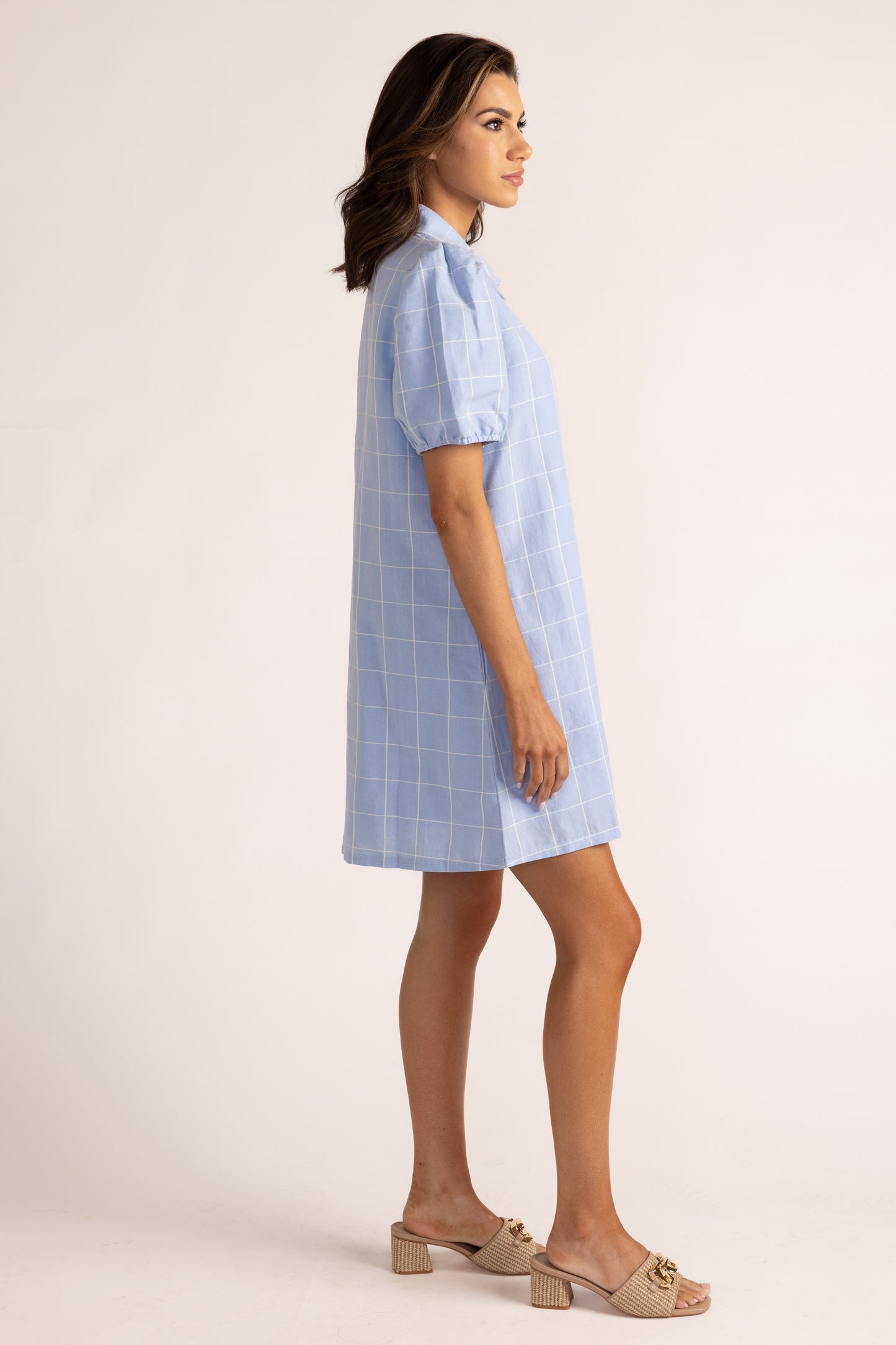 Anderson Dress - Window Pane