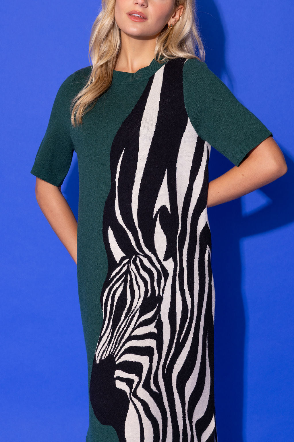 Scout Dress - Wild Silhouette
