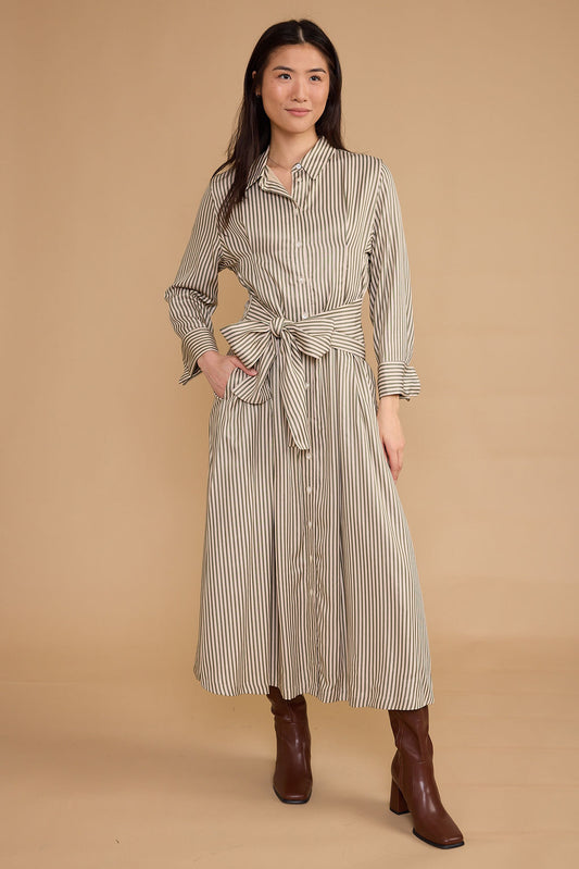 OLIVE GROVE STRIPE